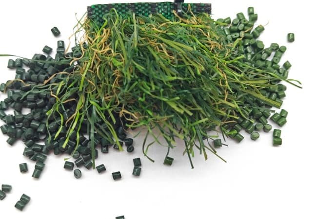 Green Masterbatch