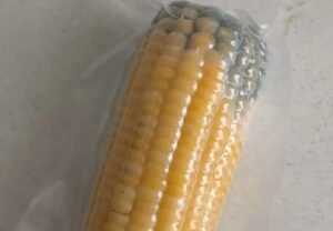 Antibacterial Masterbatch